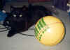 PeppiBall.jpg (29040 Byte)