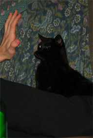 Christians Hand und Peppi