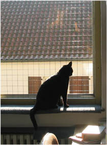 Peppi