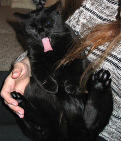 Peppi