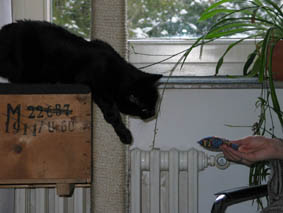 Peppi und Wiebkes Hand