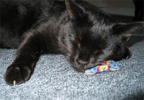 Peppi