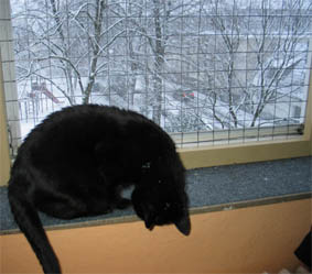Peppi