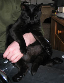 Peppi
