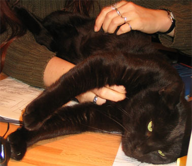 Peppi