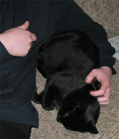 Peppi
