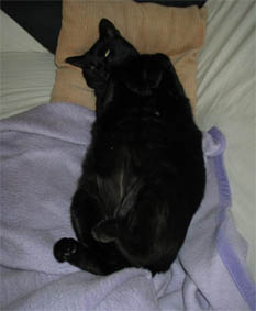 Peppi in Babypose