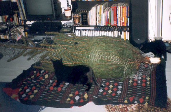 Peppi, Lissi und der Weihnachtsbaum