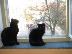 Peppi und Lissi