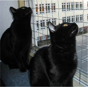Peppi und Lissi