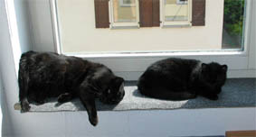 Peppi und Lissi