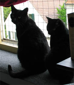 Peppi und Lissi