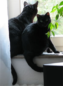 Peppi und Lissi