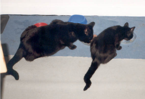Peppi und Lissi