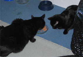 Peppi und Lissi