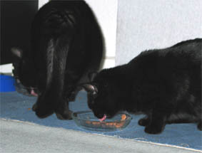 Peppi und Lissi
