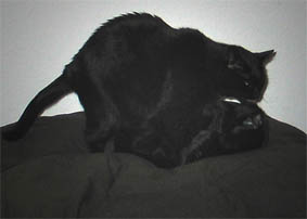 Peppi und Lissi