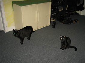 Peppi und Lissi