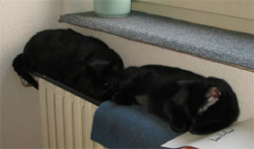 Peppi und Lissi