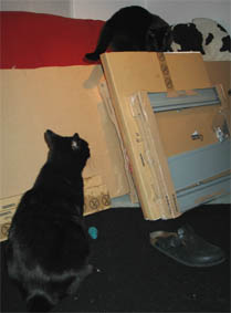 Peppi und Lissi