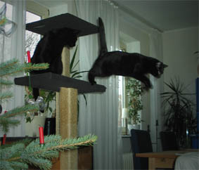 Peppi und Lissi