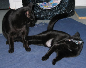 Peppi und Lissi