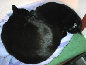 Peppi und Lissi