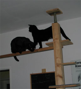 Peppi und Lissi