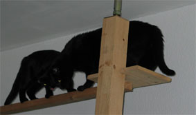 Lissi und Peppi