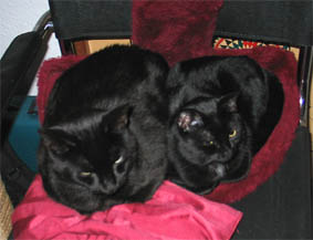 Peppi und Lissi