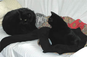 Peppi und Lissi