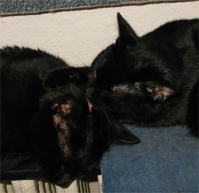 Peppi und Lissi