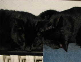 Peppi und Lissi