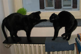 Peppi und Lissi
