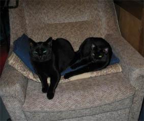 Peppi und Lissi