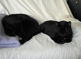 Peppi und Lissi