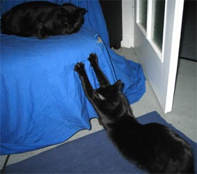 Peppi oben, Lissi streckt sich.