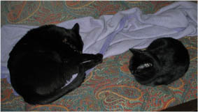 Peppi und Lissi