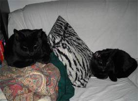 Peppi und Lissi