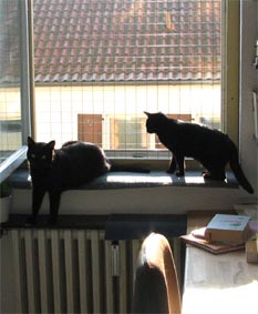 Peppi und Lissi