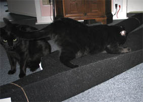 Peppi und Lissi