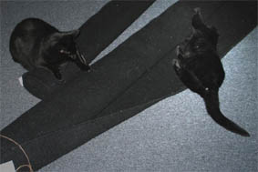 Peppi und Lissi