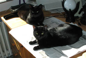 Peppi und Lissi