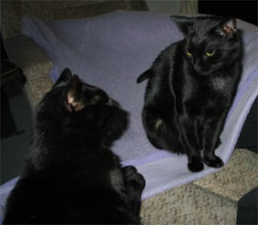 Peppi und Lissi