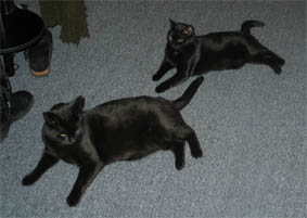 Peppi und Lissi