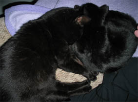 Peppi und Lissi