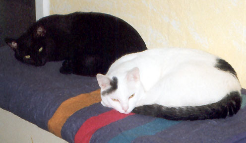 Peppi und Sammy