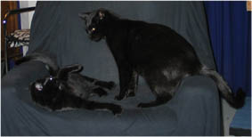 Lissi und Peppi