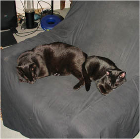Peppi und Lissi