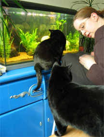 Peppi, Lissi und Wiebke